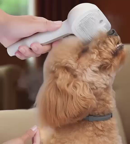 Brosse à vapeur pour chiens et chats